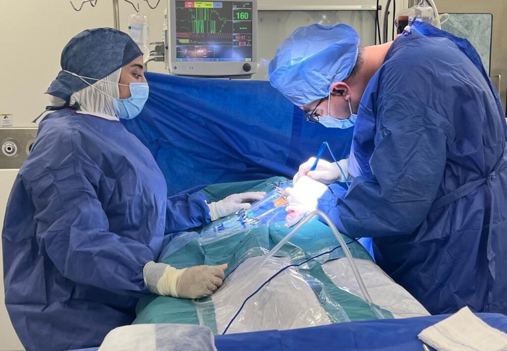 هيئة الرعاية الصحية: إجراء 2600 جراحة قلب مفتوح بنسب نجاح عالمية ضمن منظومة التأمين الصحي الشامل هيئة الرعاية الصحية: إجراء 2600 جراحة قلب مفتوح بنسب نجاح عالمية ضمن منظومة التأمين الصحي الشامل