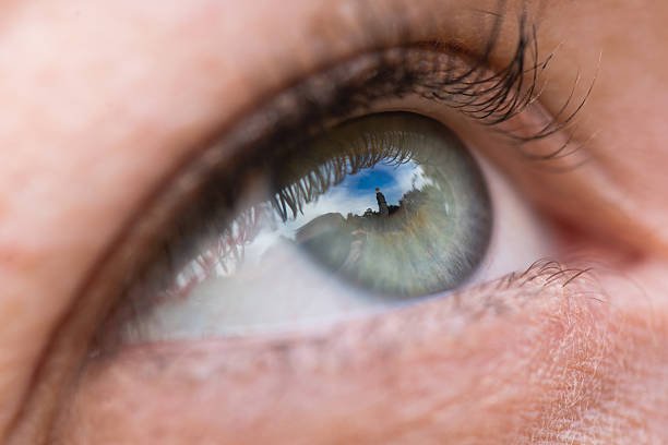 بعد تحذير الأرصاد: كيف تحمي عينيك وجهازك التنفسي مع نشاط الرياح؟