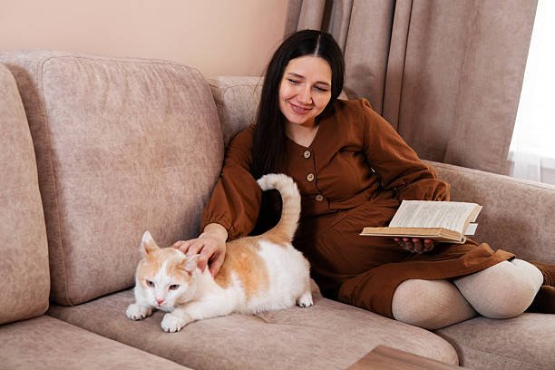 ليس مجرد خمول.. دراسة حديثة تكشف النشاط السري لمرض القطط داخل الدماغ”